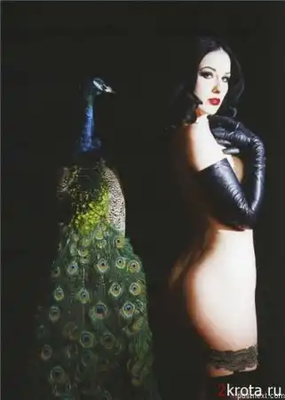 Дита фон Тиз (Dita Von Teese)