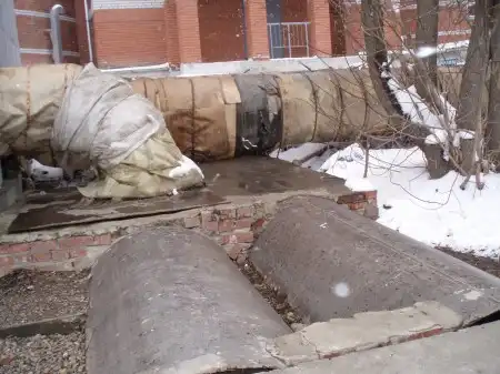 Чума в городе?
