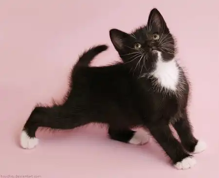 Фотограф Oliver Pietern