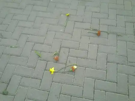 После Дня Победы..