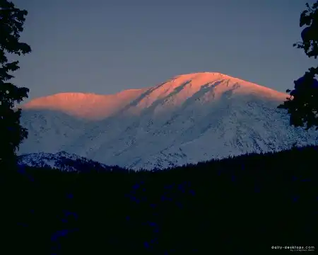 Качественные фотографии флоры и фауны.