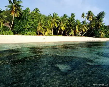 Качественные фотографии флоры и фауны.