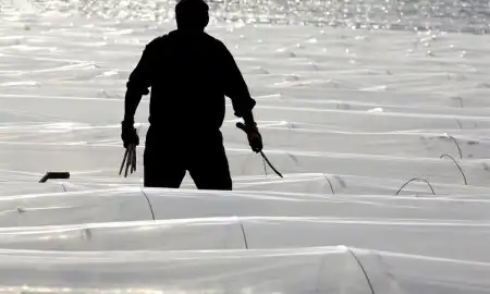 День земли