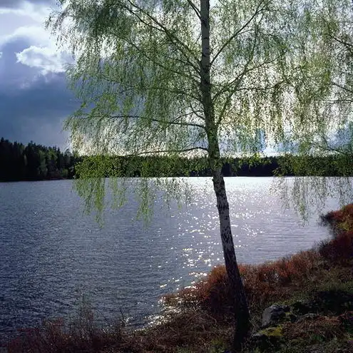 Российская рыбалка