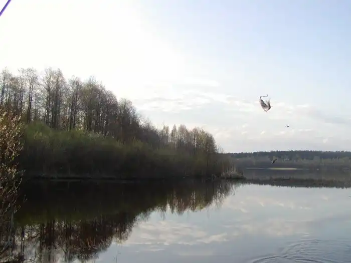 Российская рыбалка