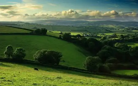 Widescreen Wallpapers 1680x1050