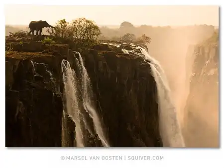 Фотограф Marsel van Oosten