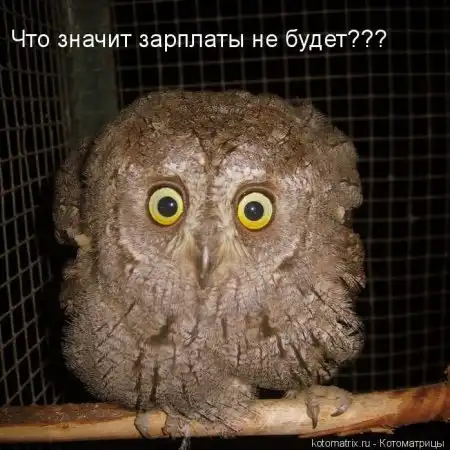 животные