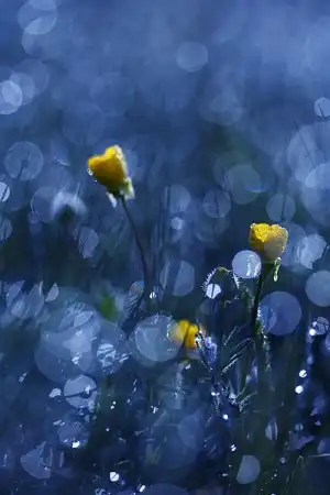 Мир в Фотографии - World in Photo (часть 13)