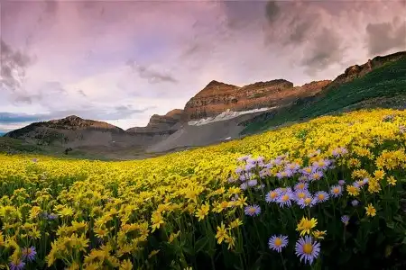 Мир в Фотографии - World in Photo (часть 13)