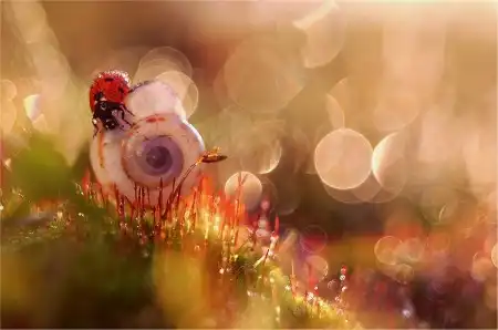 Мир в Фотографии - World in Photo (часть 13)