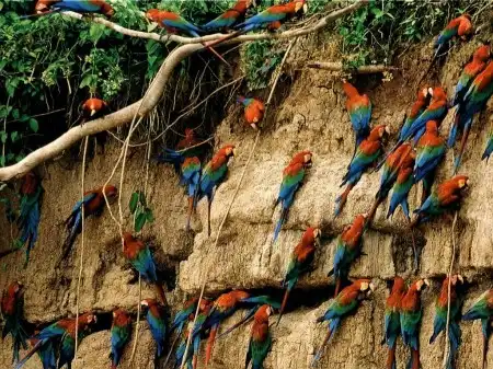 Мир в Фотографии - World in Photo (часть 13)
