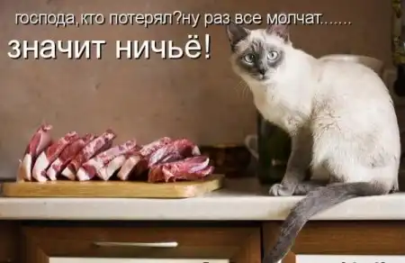 животные