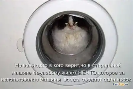 животные
