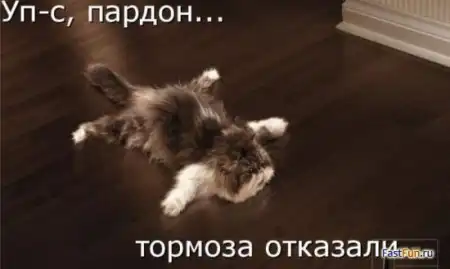 животные