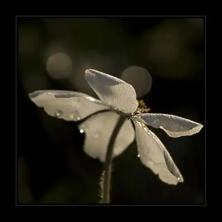 Мир в Фотографии - World in Photo (часть 14)
