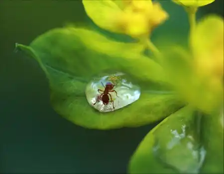 Мир в Фотографии - World in Photo (часть 14)