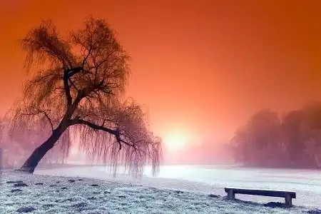 Мир в Фотографии - World in Photo (часть 14)
