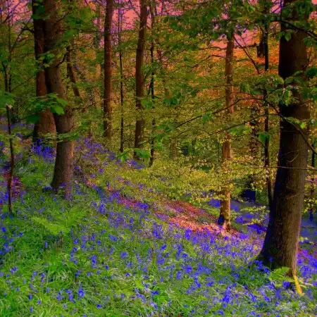 Мир в Фотографии - World in Photo (часть 14)