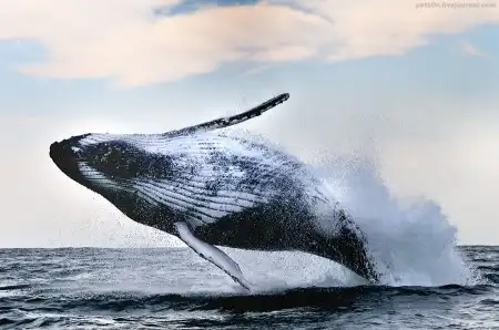 Мир в Фотографии - World in Photo (часть 14)