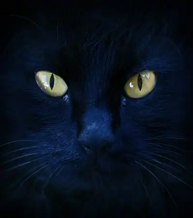 Мир в Фотографии - World in Photo (часть 14)