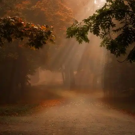 Мир в Фотографии - World in Photo (часть 14)