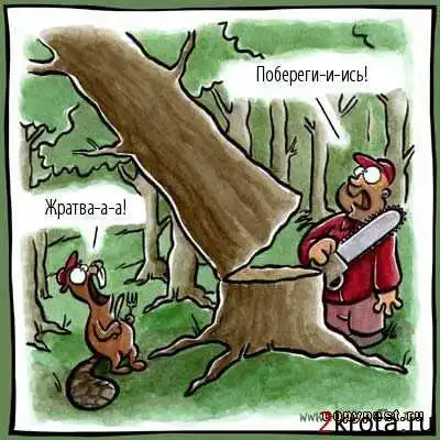 Подборка приколов