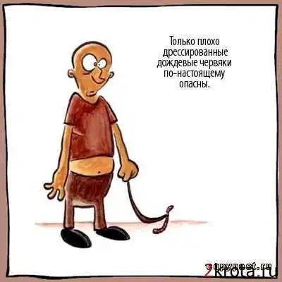 Подборка приколов