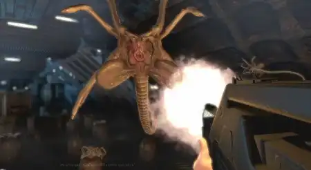 Aliens vs Predator: люди