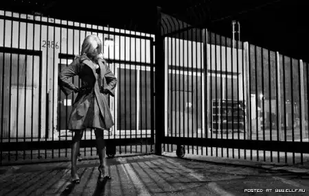 Фотограф Steven Lippman
