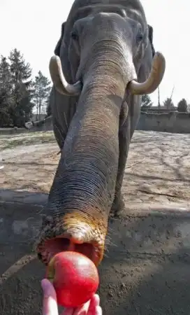 Подборка...