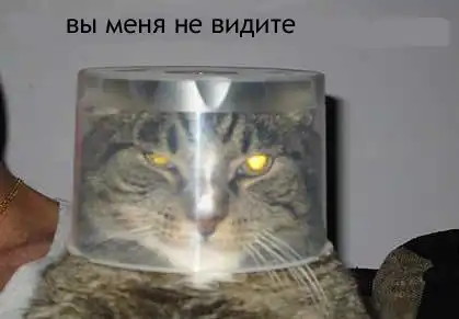 Кошаки) Кошаки)