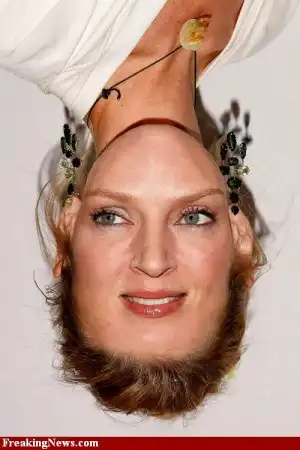 Звезды