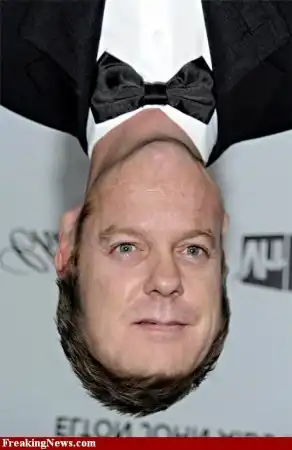 Звезды