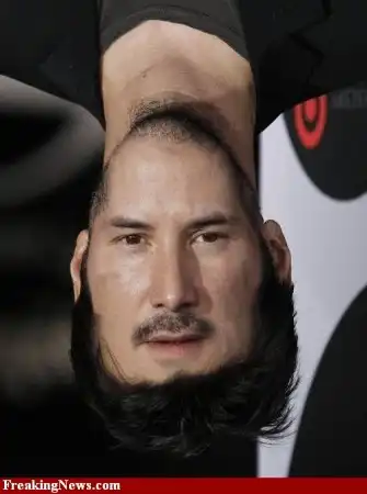 Звезды