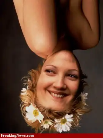 Звезды