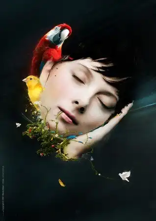 Digital Art