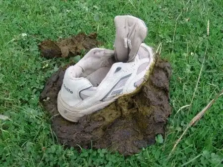 Жесть жестянка 