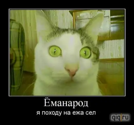 Демотиваторы