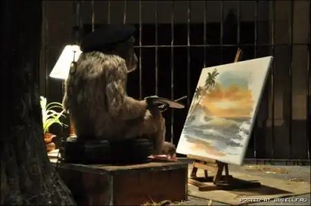 Banksy в Бристольском музее
