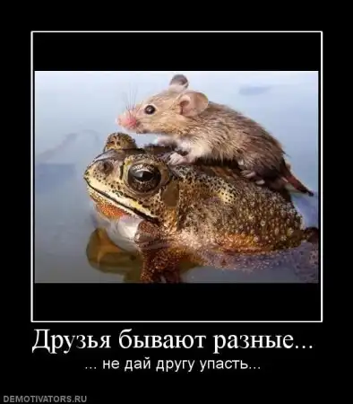 Подборка новых демативаторов