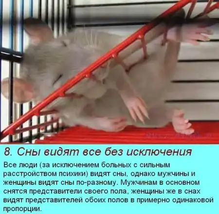 Очень интересные факты про сон!)