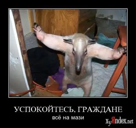 Всего да по маленьку №25(демотиваторы+картинки)