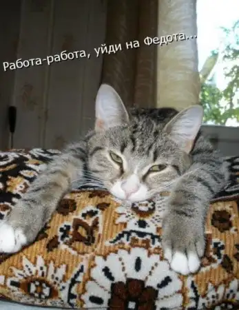Животные с подписями