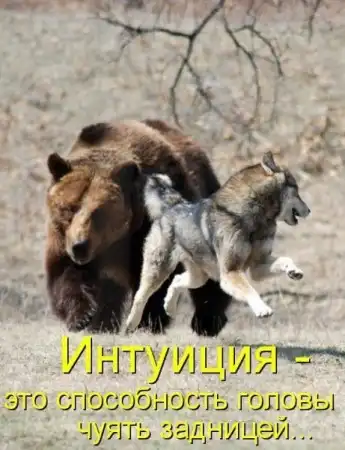 Животные с подписями