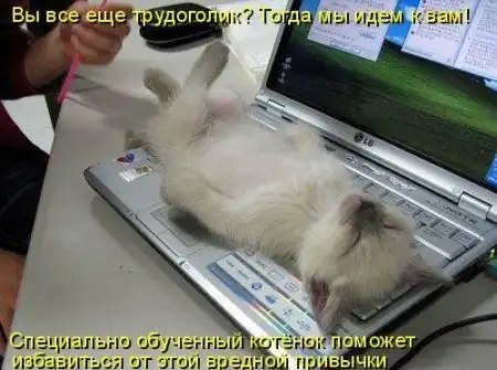 Животные с подписями