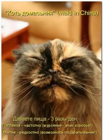 Животные с подписями