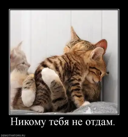 Демотиваторы - на 11 июля (36шт)
