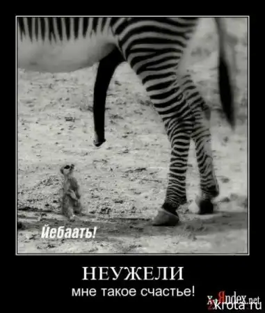 веселые картинки