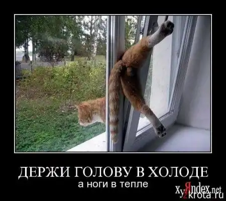 веселые картинки